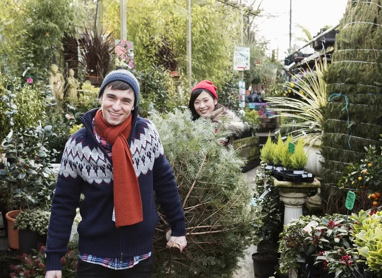 couple-carrying-christmastree